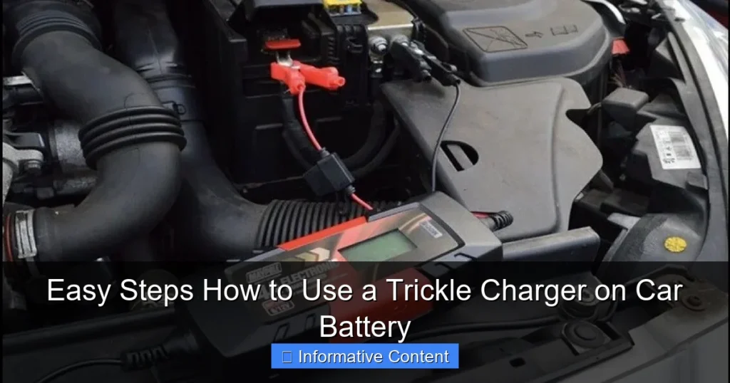Easy Steps How to Use a Trickle Charger on Car Battery