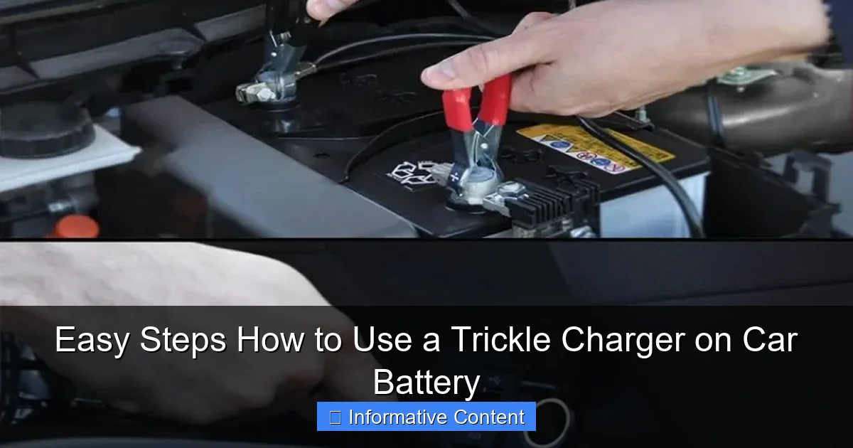 Easy Steps How to Use a Trickle Charger on Car Battery